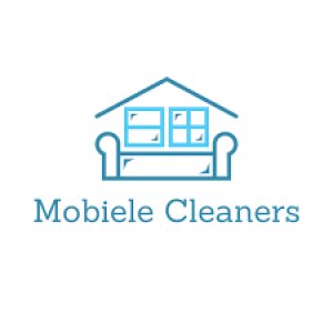Mobiele Cleaners