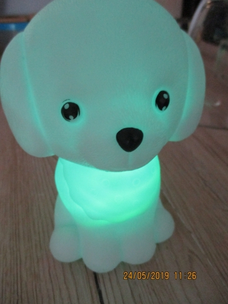 spaarpot hond kunstof met verlichting 16 x 11 cm - marktopmaat.nl